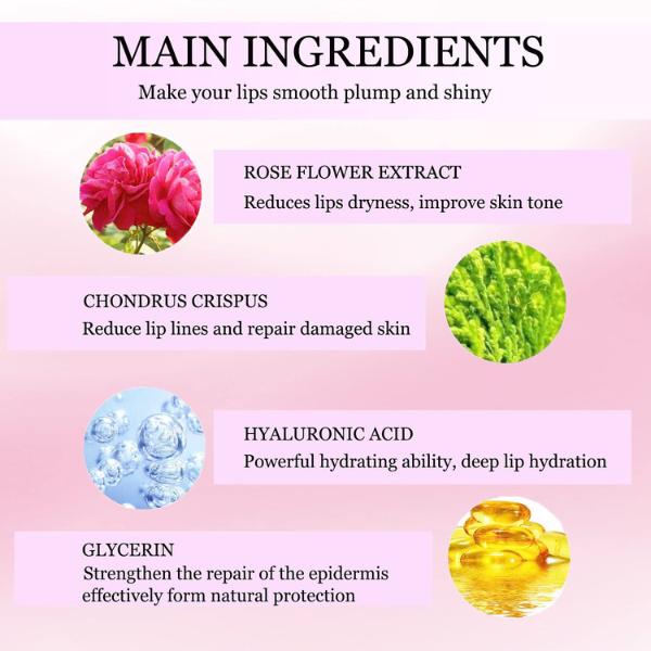 Anti-Aging, Hydrating Lip Treatment | Reduces Wrinkles, Restores Lip Color, Smooths & Firms | Vitamin-Enriched Skincare Moisture Crystal