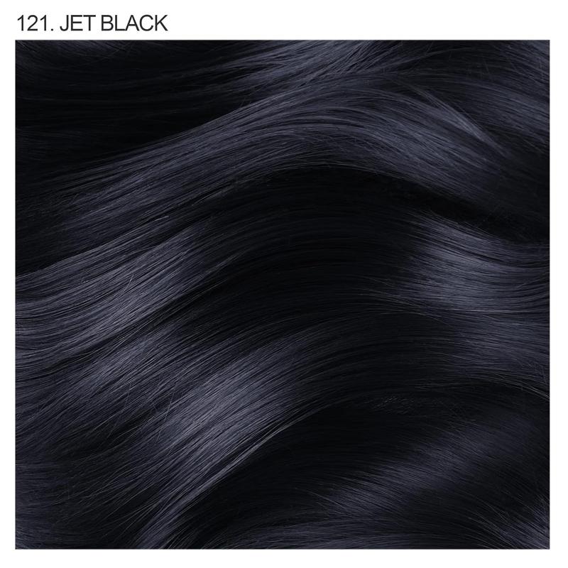 ermanent Hair Color - Vegan and Cruelty-Free Black Hair Dye - 4 Fl Oz - 121 Jet Black (ack of 2)