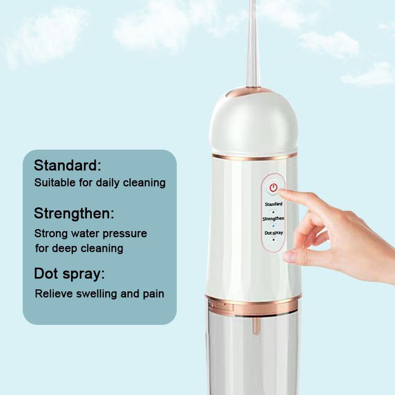 Electric Oral Irrigator, 1 Box Portable Rechargeable Oral Irrigator & Accessories, Oral Care Tool for Home & Travel